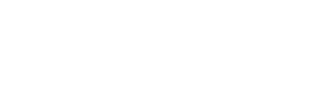 Monodon - Monodon_Projects-in-collaboration-Photonics-UPV