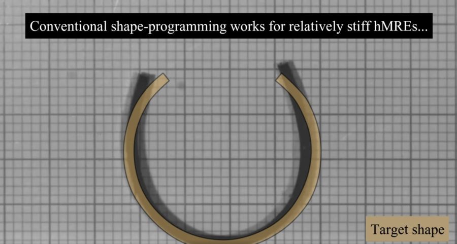 Monodon - Topology and Material Optimization in Ultra‐Soft Magneto‐Active Structures: Making Advantage of Residual Anisotropies