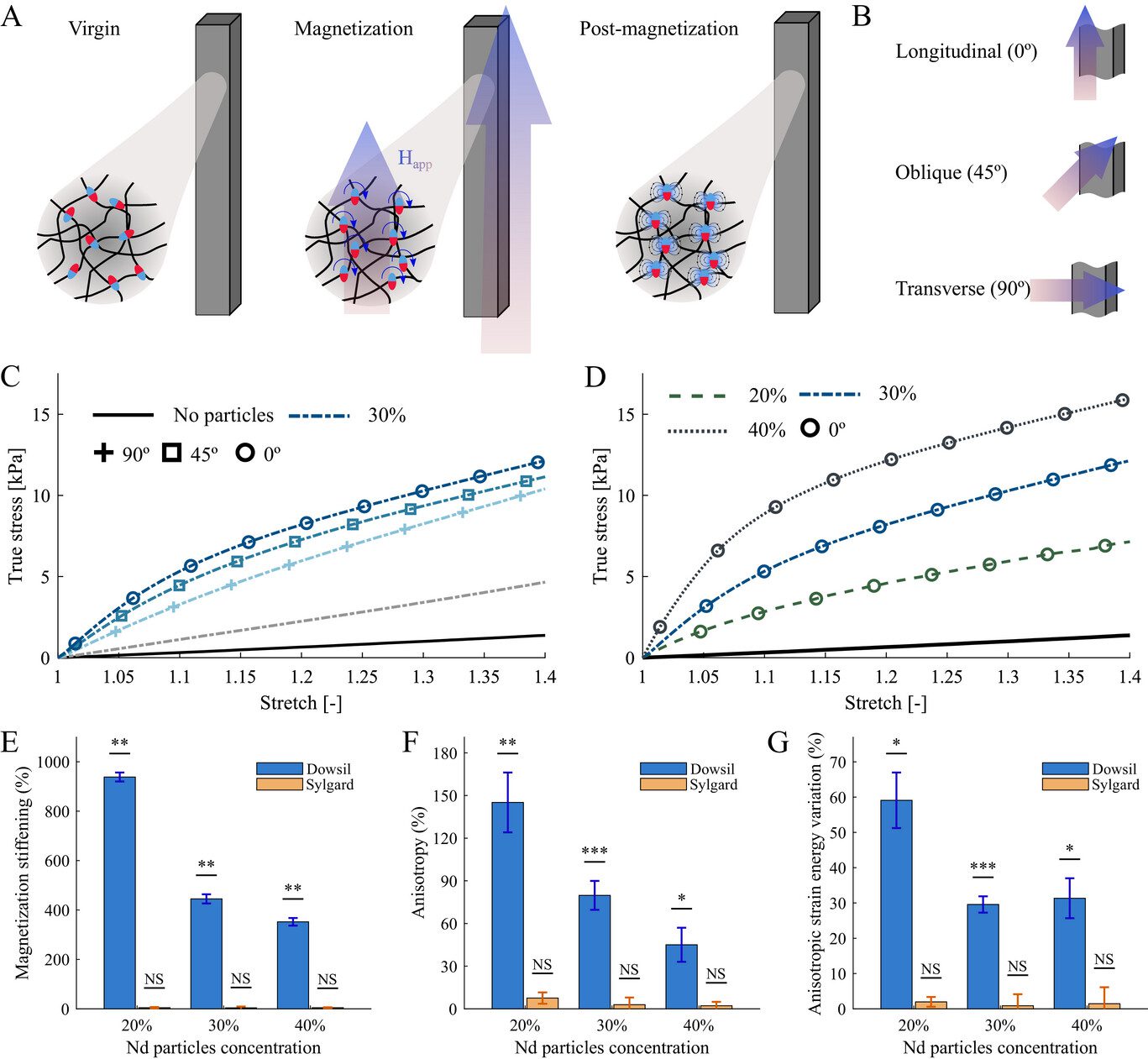 Monodon - Topology and Material Optimization in Ultra‐Soft Magneto‐Active Structures: Making Advantage of Residual Anisotropies